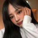 쿠키에진심