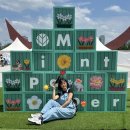지노필름 | 뷰티풀 민트 라이프 2025 역시나 잘 놀고 왔다! | 뷰민라 필수 준비물, 꿀팁, 뽕뽑은 후기