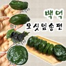 동부꿈드림협동조합 | 내돈내산 광주 백억모싯잎송편 모시송편 떡 선물용 답례품으로 추천