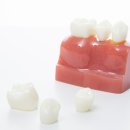 그린치과의원 이미지