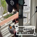 두꺼비 방역 | 광주 바퀴벌레 퇴치성공 !! 광주해충방역은 패스트블랙에서 !!