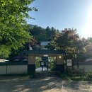 매일관광주식회사 | 대룡산장] 주말 춘천 카페 데이트 코스 | 이색 카페 대룡산장 메뉴·가격·주차 완벽 정리 (솔직 후기)