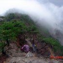 부남발전기 | 팔각산(628m)/경북 영덕