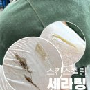 스토리플래닝