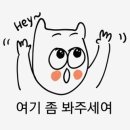 혜(Hye)은 에스테틱 | [WD-9] 대전 아이폰스냅_도이스냅 계약 후기(짝궁 완료!)