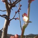 봉우리농장 이미지