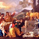 금송아지 이미지