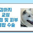 동물병원 더 하임 이미지