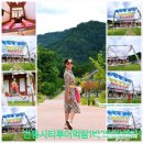 안동역<=>한국문화테마파크 순환 이미지