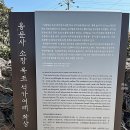 용문사 소장 목조석가여래좌상 네이버블로그