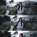 175 | 빈티지 디카 소개 | 캐논 익서스 210 캐논 익서스 175 비교 작례 후기