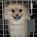 동방약국 이미지