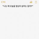 서울산책 이미지