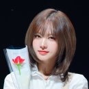 서이헤어 - 태안군 중앙로 72 | 서이헤어