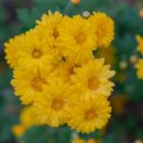 신원민박 이미지