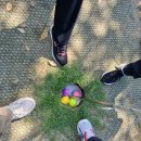 상록수파크 이미지