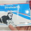 유림온누리약국 이미지