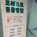 동물진료법인 포레스트 이미지