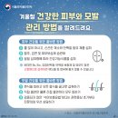 피부건강몰