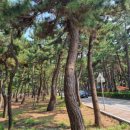 송정콘도마트