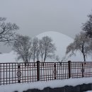 고향 Daum카페