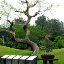 비욘드더테이블 이미지