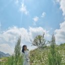 (주)여행클럽 이미지