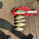 용곡낚시터 이미지