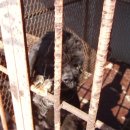 여아농장 이미지