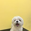 성덕미용실 이미지