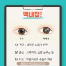 센트럴성모안과의원 이미지