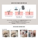 멍테일즈 이미지