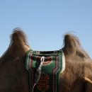 울림디자인
