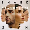 SHAED & ZAYN - Trampoline 이미지