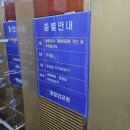 대왕암공원3(주차장) | 반려견 동반 수국이 많았던 울산 대왕암공원 방문 후기! (feat. 주차장 및 주차비)