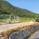 제19회 보은동학제 이미지