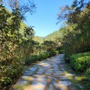 백야자연휴양림 이미지