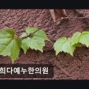다예누