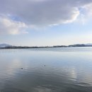 금천장어구이 이미지