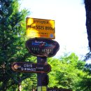 반여3동-16 | [부산] 장산허리순환길 트레킹 후기---2019년 8월 16일(금)