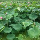 제연농장 이미지