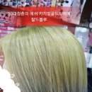 에쉬헤어샾 이미지