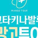 굿나이스투어