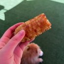 축현초등학교 | 솔멍 애견카페 (인천 연수구 옥련동)