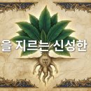 신성약초