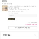 피노호텔 | 제주 서귀포 피노호텔 가성비 숙소 내돈내산 추천