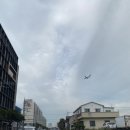 한라 생생고깃집 / 한라 1947 축산 | [제주 맛집] 늘봄흑돼지 ; 제주공항 근처 흑돼지 맛집 후기 ( 주차, 삼겹살, 육회)