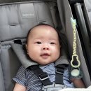 둥이식당 이미지