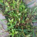 한마음약업사 이미지