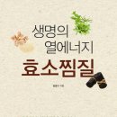 엘리스효소찜질